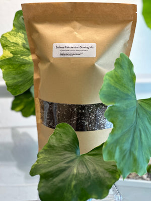 Soilless Growing Mix for Philodendron (20 OZ)