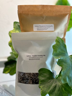 Soilless Growing Mix for Alocasia (10 OZ)